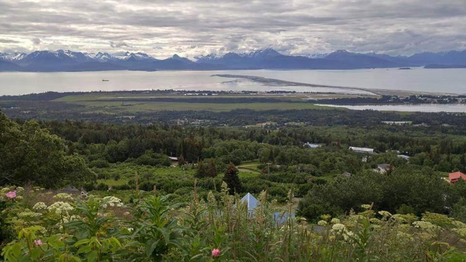 Lakeshore Lodging Suites Хомер Экстерьер фото